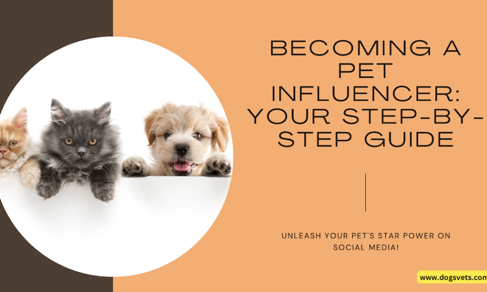 How to Become a Pet Influencer: Tips for Furry Superstars